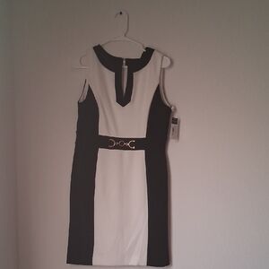 BNWT classy Tahari Dress Sz 10P
